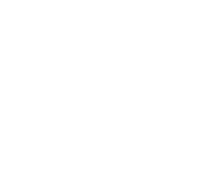 青田縣精鑄閥門(mén)有限公司 （官方網(wǎng)站）主要生產(chǎn)高鎳球墨鑄鐵、汽車(chē)配件D5S、D2螺母